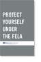 fela_brochure.gif