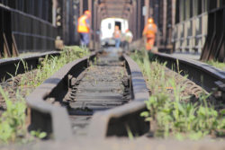 Understanding the 3 Federal Acts That Protect Railroad Workers